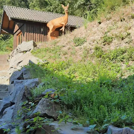 Am Wingertsberg Laacher Апартаменты Glees