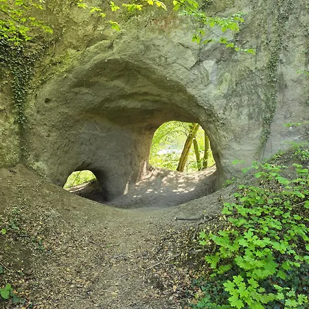 Am Wingertsberg Laacher Daire *