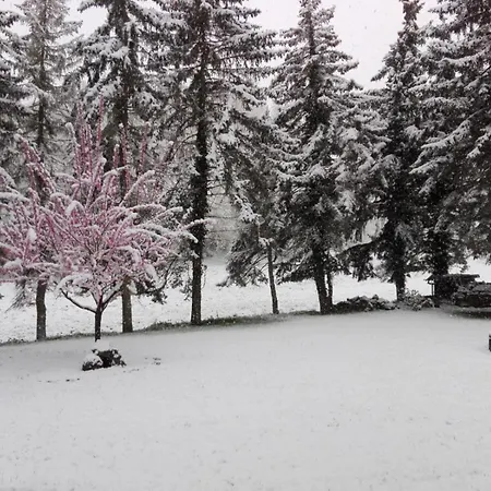 Am Wingertsberg Laacher Glees