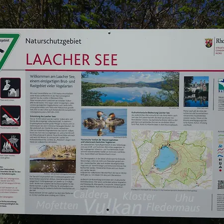 Am Wingertsberg Laacher