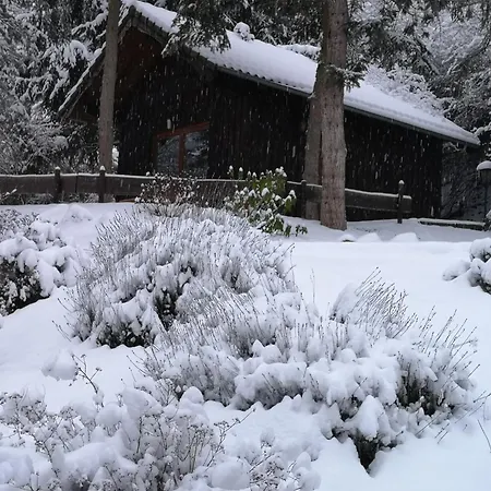 Am Wingertsberg Laacher