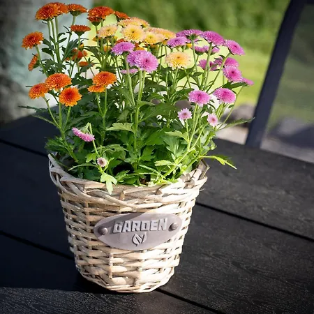 Am Wingertsberg Laacher Daire