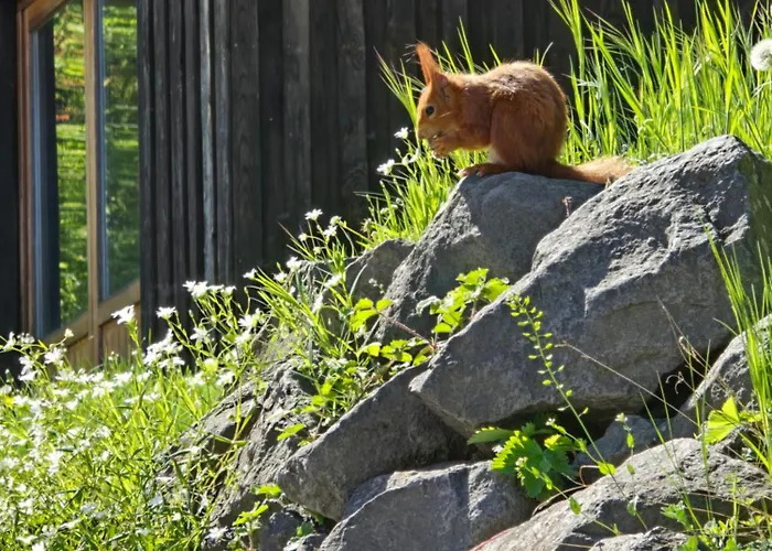 Am Wingertsberg Laacher Apartmán Glees