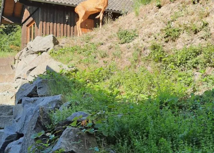 Am Wingertsberg Laacher Apartmán Glees