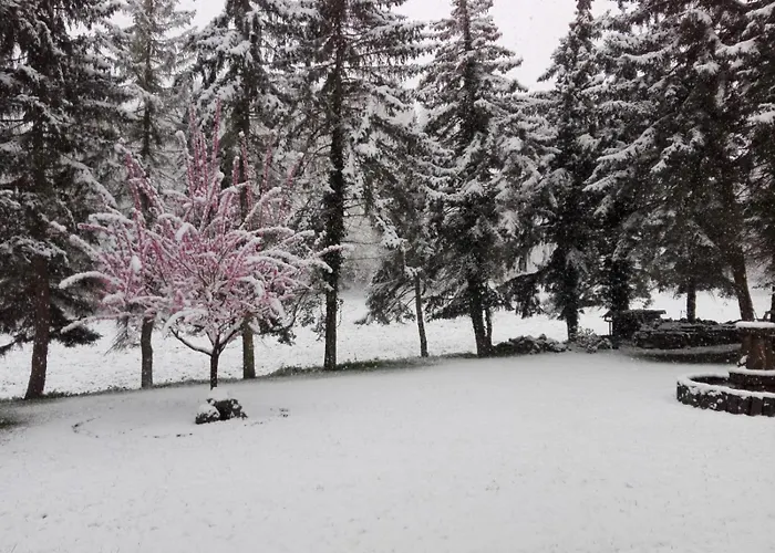 Am Wingertsberg Laacher Glees