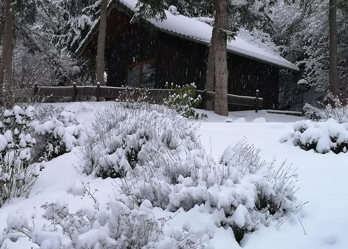 Am Wingertsberg Laacher