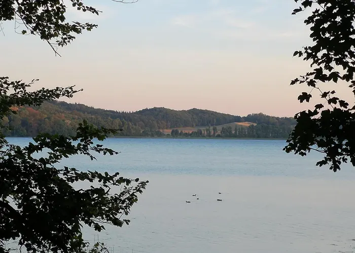 Am Wingertsberg Laacher Glees