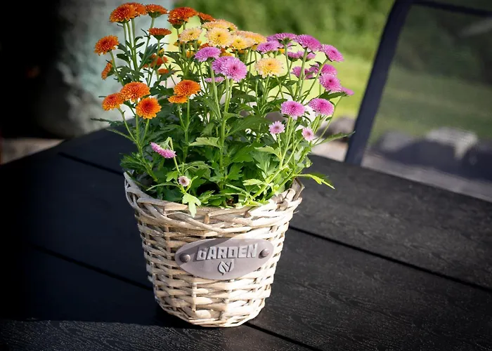 Am Wingertsberg Laacher Apartmán